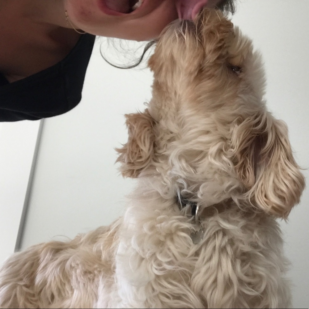 Meet your Posher, Alexa